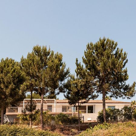 Villa Campo De Arroz Carvalhal  Exterior foto