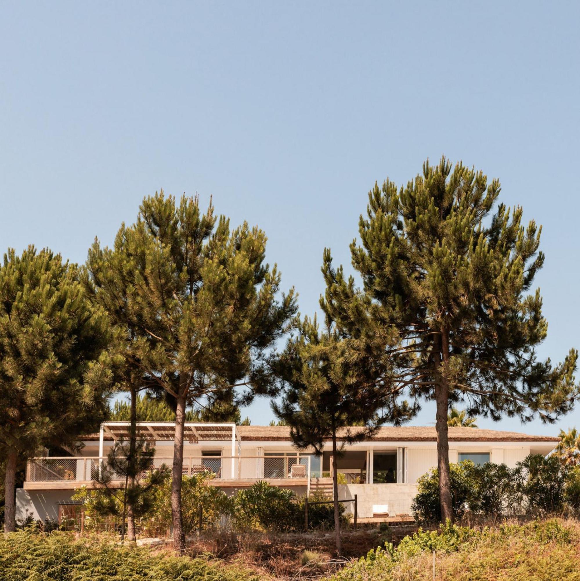 Villa Campo De Arroz Carvalhal  Exterior foto
